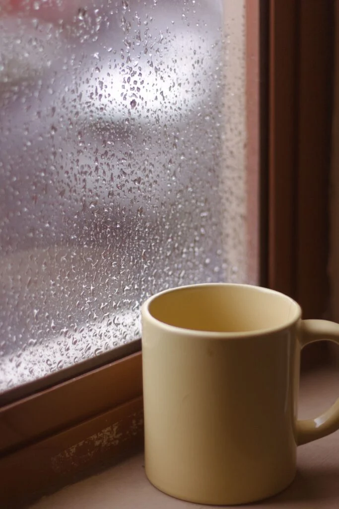 Person relaxing on a couch with a laptop on a rainy day, playing free browser games at Mugeri Games with rain visible through the window